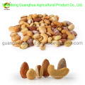 Best Quality and New Crop Almonds in Shell